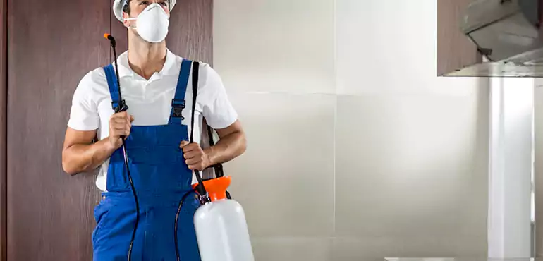 Why Sunnyvale Homeowners Choose Us When Pests Make Selling Difficult