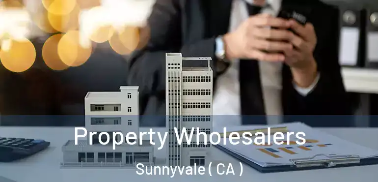 Property Wholesalers Sunnyvale ( CA )