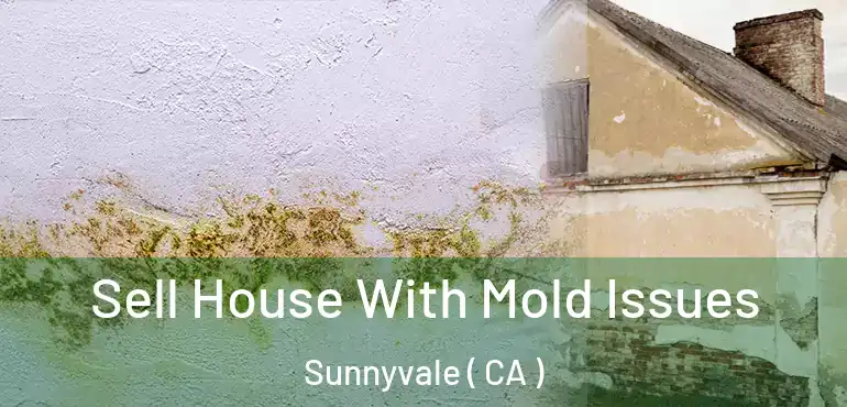 Sell House With Mold Issues Sunnyvale ( CA )